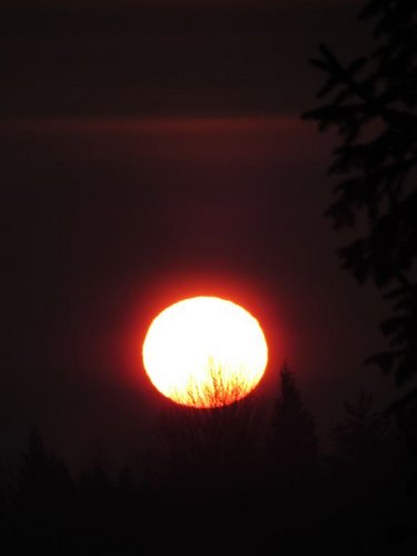 IMG_1.JPG