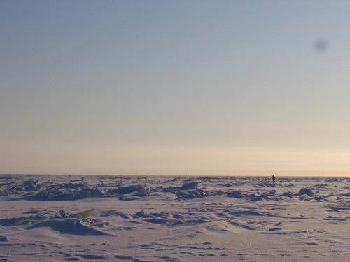 10-12.02.12 008.jpg
