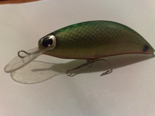 20111031766.jpg