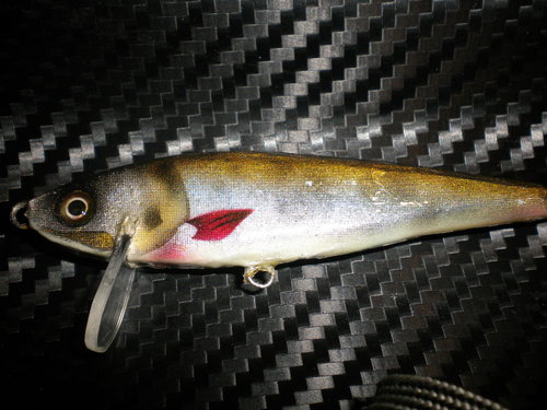 DSCN2060.JPG
