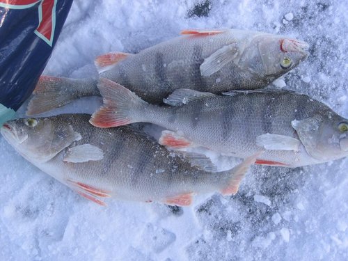 2012 027.jpg