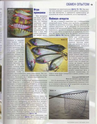 J167.jpg