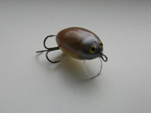 Picture 179.jpg