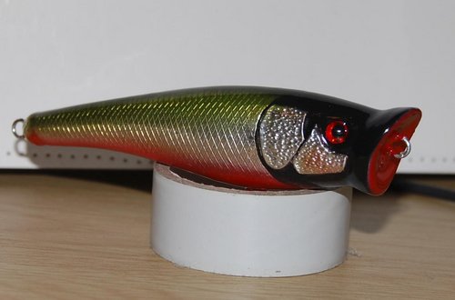 DSC_9659.JPG