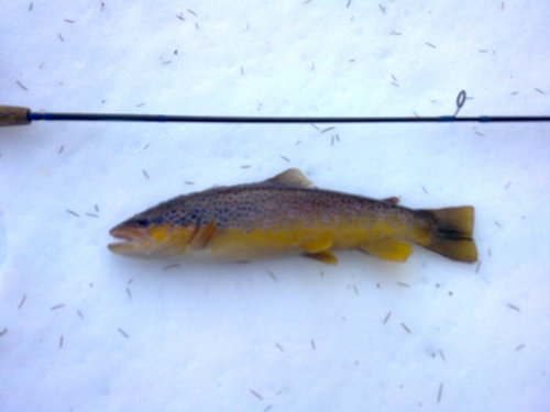 03032012615a.jpg