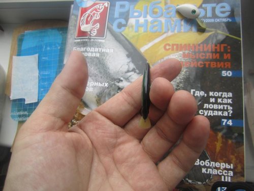 030.JPG