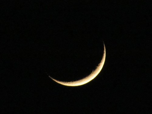 IMG_3.JPG