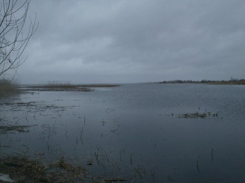010.JPG