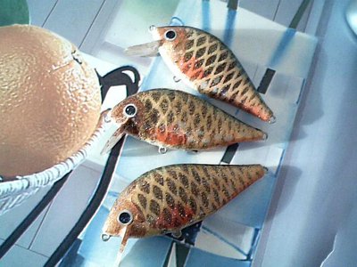 карасики 004.jpg