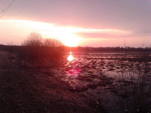2012-04-13 06.35.40.jpg