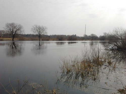 2012-04-13 11.01.57.jpg (91.71 КБ) 4477 просмотров Заветное место...