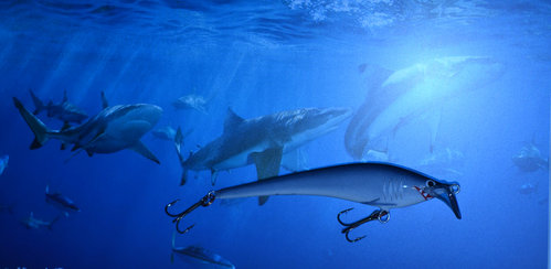 акула.jpg (257.34 КБ) 1005 просмотров ПВХ 9,5 см б.о.