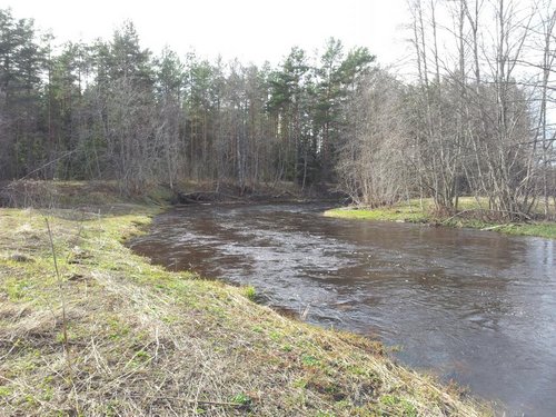 2012-04-29 16.24.07.jpg