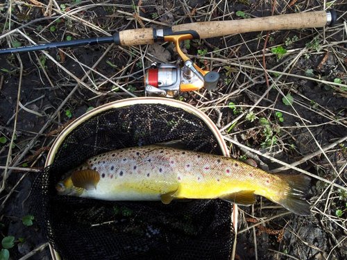 2012-04-29 16.32.38.jpg