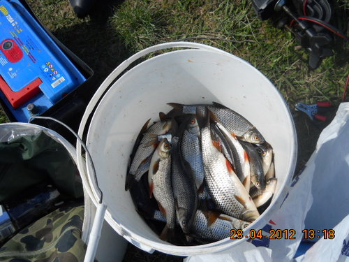 DSCN0315.jpg