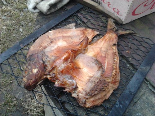 2012-04-13 19.46.04.jpg