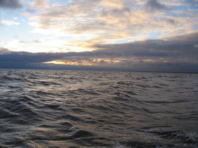 IMG_6336.jpg
