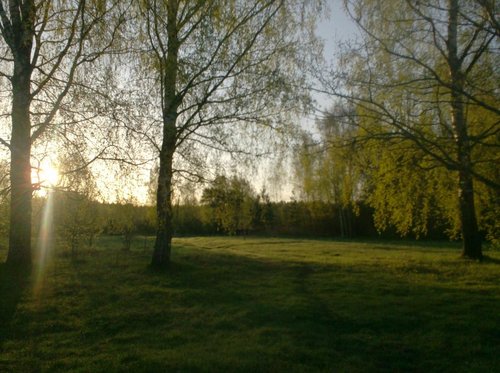 030.JPG