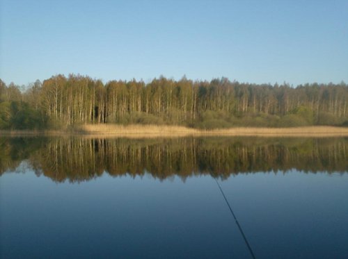 031.JPG