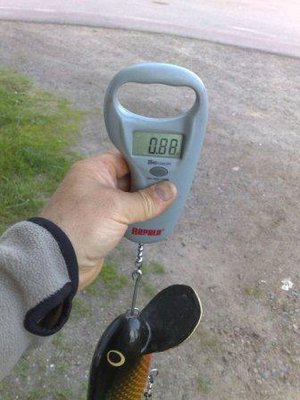 201006061546.jpg
