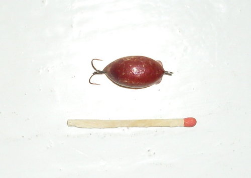 SDC10081.JPG