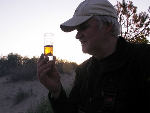 in vino veritas.JPG