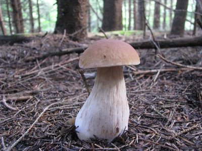 IMG_2207.jpg