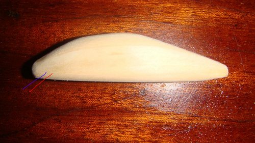 DSC03345_1.jpg