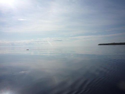 P1030093.JPG