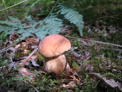 IMG_2212.jpg