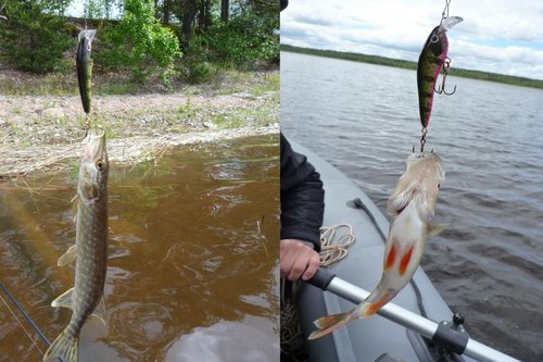 Безимени-1.jpg