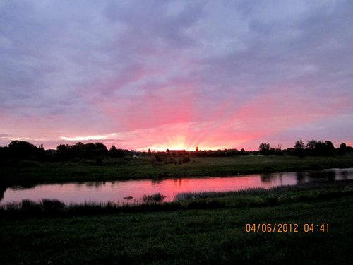 IMG_3848.jpg
