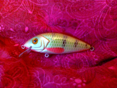 27052012166.jpg