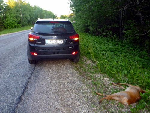 mesto tragediji.JPG