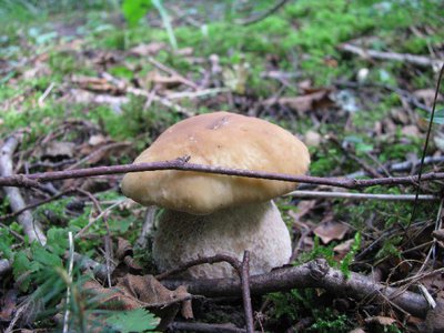 IMG_2221.jpg