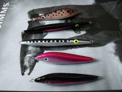 seatrout.jpg