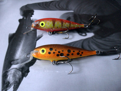 salmon.jpg