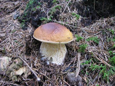 IMG_2233.jpg