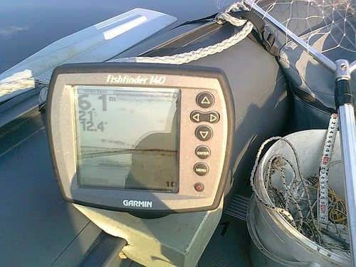 сомы 003.jpg