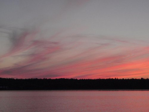P7064345.JPG