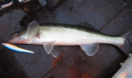ФЗ-1.jpg