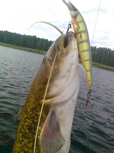 cомики 005.jpg