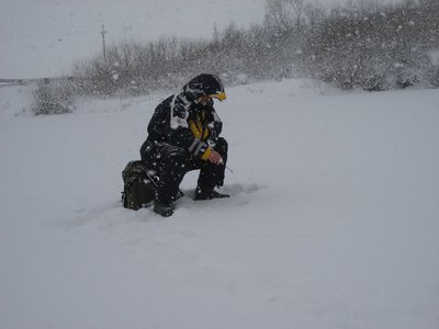 IMG_6394.jpg