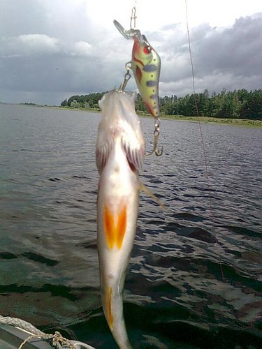 cомики 036.jpg