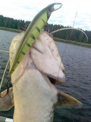 cомики 003.jpg