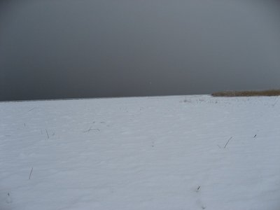 IMG_6402.jpg