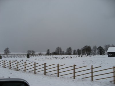 IMG_6408.jpg