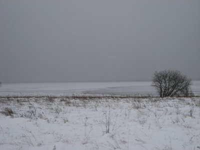 IMG_6409.jpg