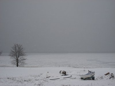 IMG_6413.jpg