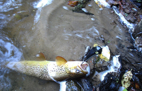 f090712022.jpg